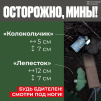 Внимание! Минная опасность! Внимание! Минная опасность!.